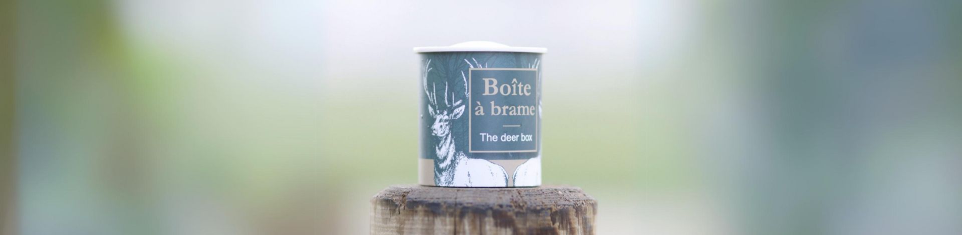 Autour du brame
