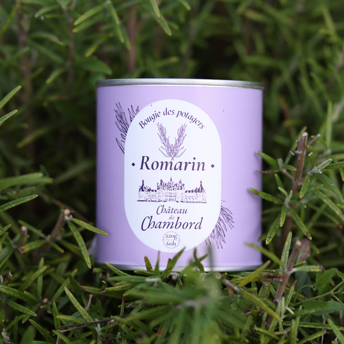 Chambord vegetable garden candle - Rosemary