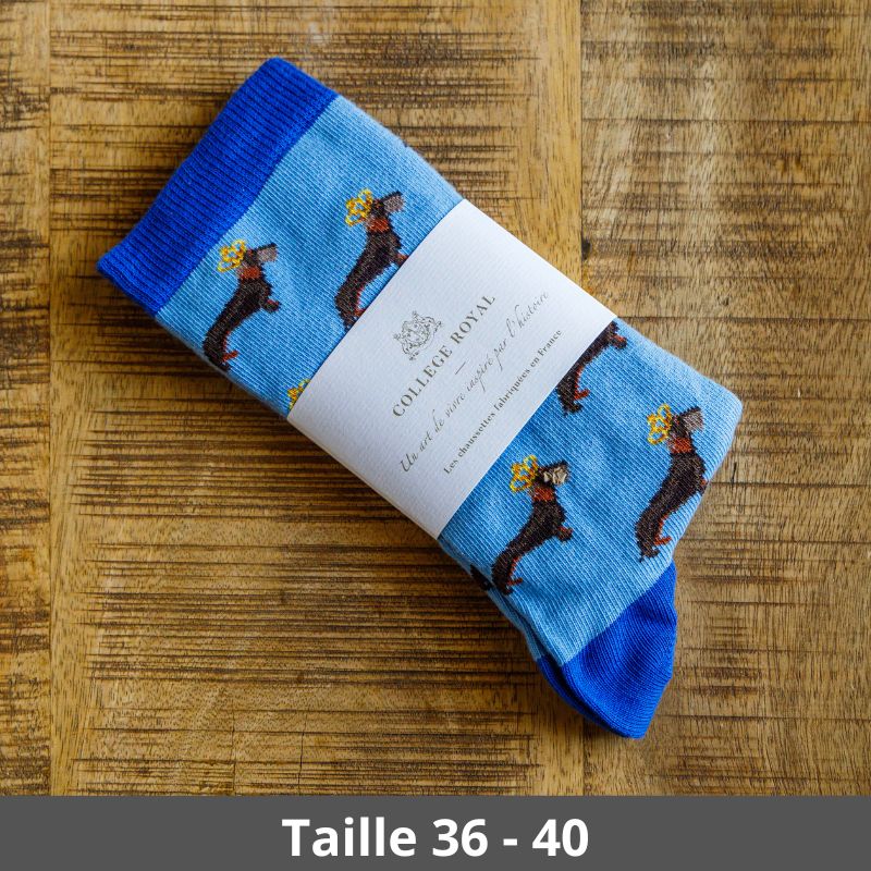 Chaussettes bleues « Teckels Couronnés » 36-40 – Collège Royal