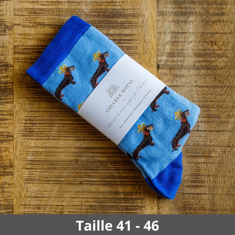 Chaussettes bleues « Teckels Couronnés » 41-46 – Collège Royal