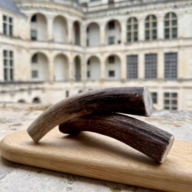Bois de cerf à mâcher pour chien