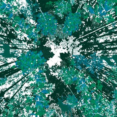 Mint-Colored Silk Scarf – Chambord x Maison Petrusse