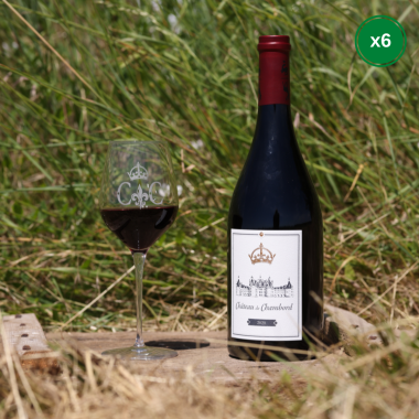 Vin rouge de Chambord - AOC Cheverny 2021 - carton de six