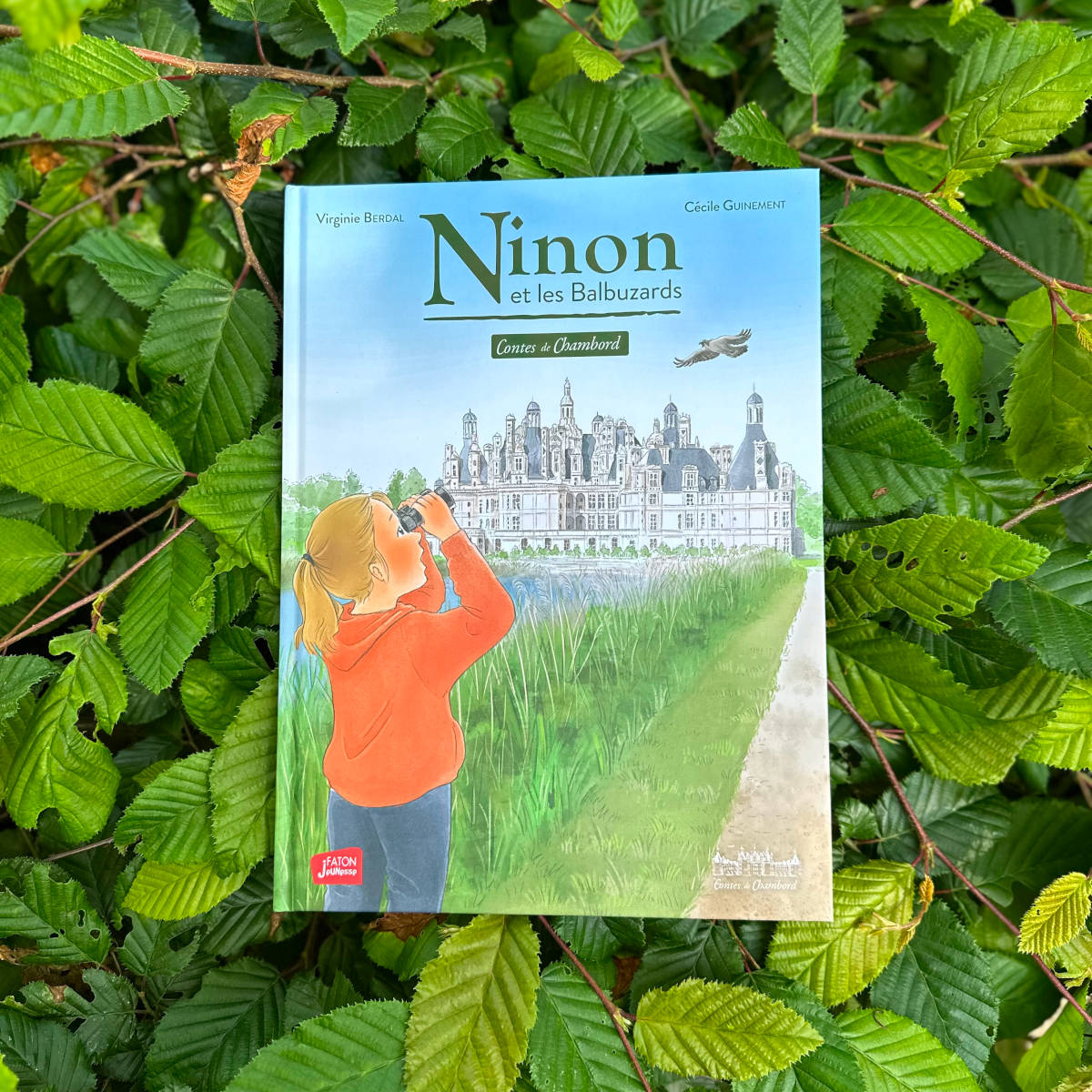 Ninon et les balbuzards – Tome 3 - Contes de Chambord